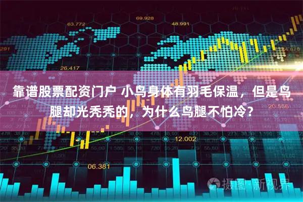 靠谱股票配资门户 小鸟身体有羽毛保温，但是鸟腿却光秃秃的，为什么鸟腿不怕冷？